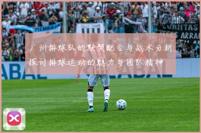 广州排球队的默契配合与战术分析探讨排球运动的魅力与团队精神